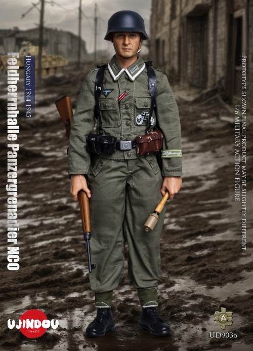 WWII German Commander in Chief Panzergrenadier Sergeant Hungary 1944-1945 1/6