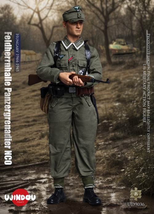 WWII German Commander in Chief Panzergrenadier Sergeant Hungary 1944-1945 1/6