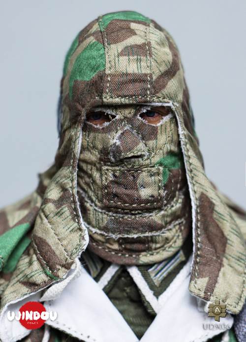 WWII German Commander in Chief Panzergrenadier Sergeant Hungary 1944-1945 1/6