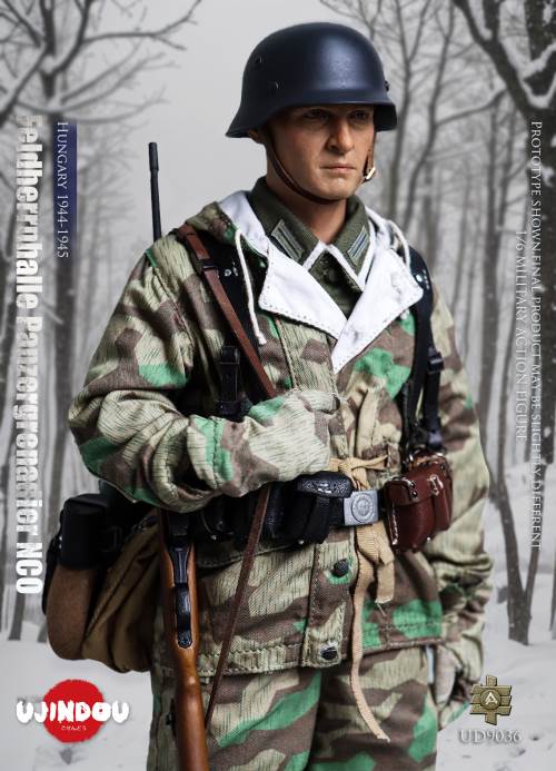 WWII German Commander in Chief Panzergrenadier Sergeant Hungary 1944-1945 1/6