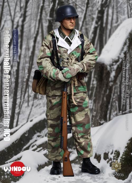 WWII German Commander in Chief Panzergrenadier Sergeant Hungary 1944-1945 1/6