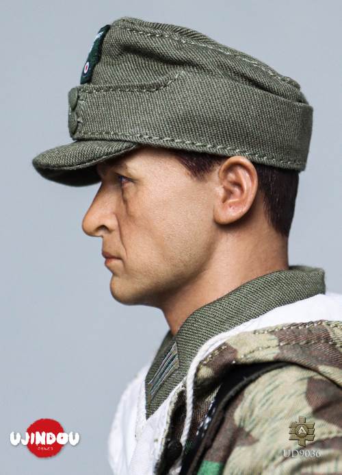 WWII German Commander in Chief Panzergrenadier Sergeant Hungary 1944-1945 1/6