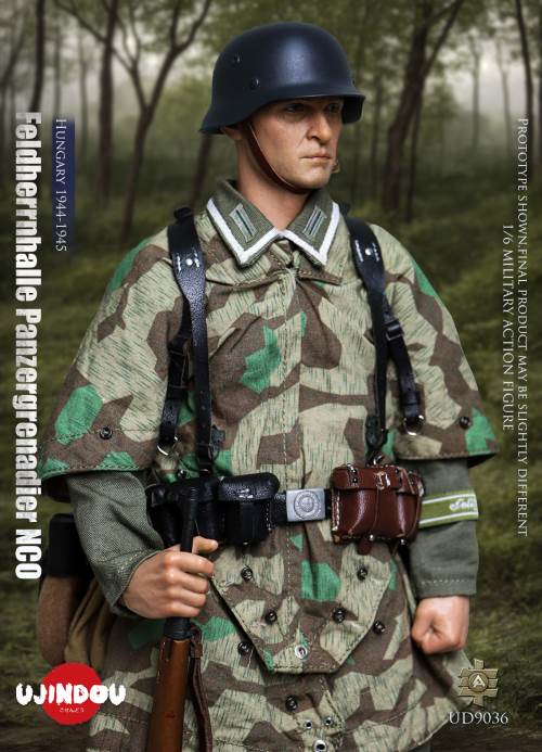 WWII German Commander in Chief Panzergrenadier Sergeant Hungary 1944-1945 1/6
