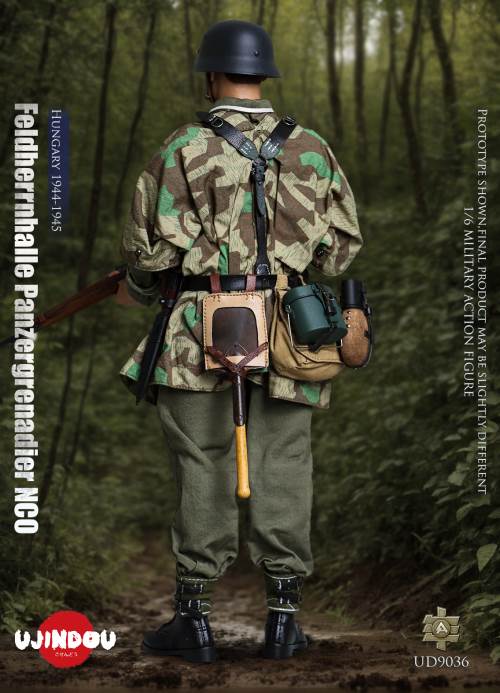 WWII German Commander in Chief Panzergrenadier Sergeant Hungary 1944-1945 1/6