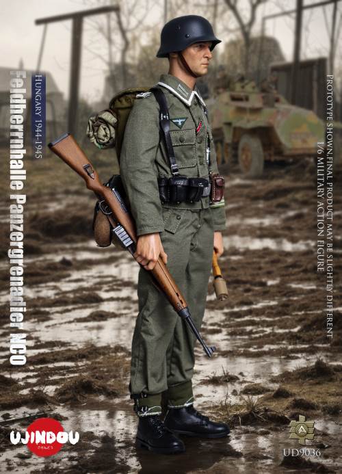 WWII German Commander in Chief Panzergrenadier Sergeant Hungary 1944-1945 1/6
