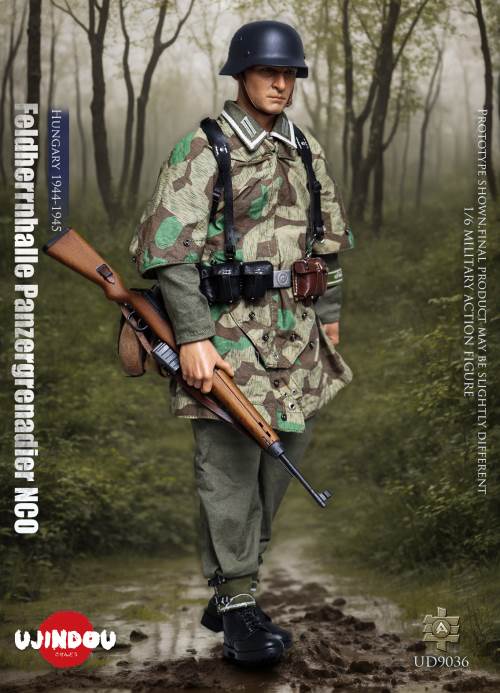 WWII German Commander in Chief Panzergrenadier Sergeant Hungary 1944-1945 1/6