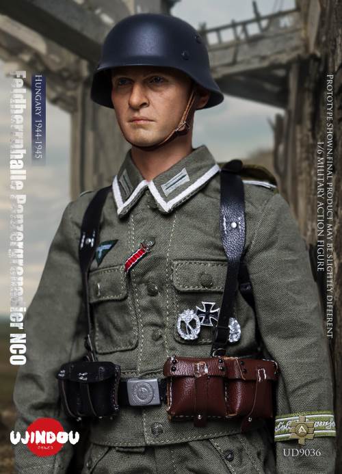 WWII German Commander in Chief Panzergrenadier Sergeant Hungary 1944-1945 1/6