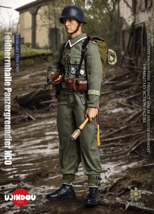 WWII German Commander in Chief Panzergrenadier Sergeant Hungary 1944-1945 1/6