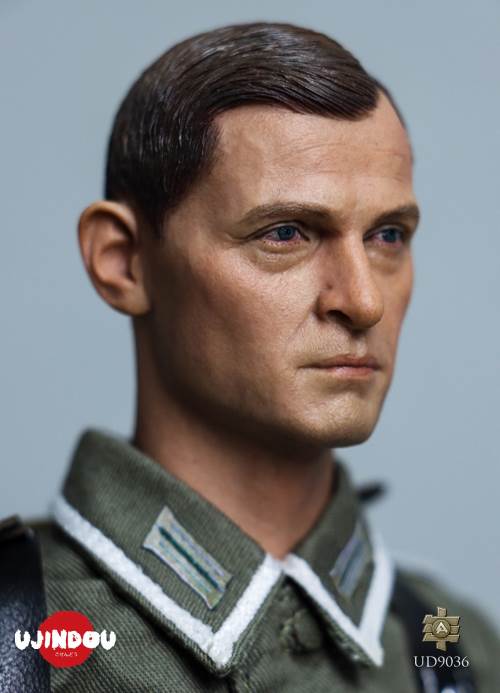 WWII German Commander in Chief Panzergrenadier Sergeant Hungary 1944-1945 1/6