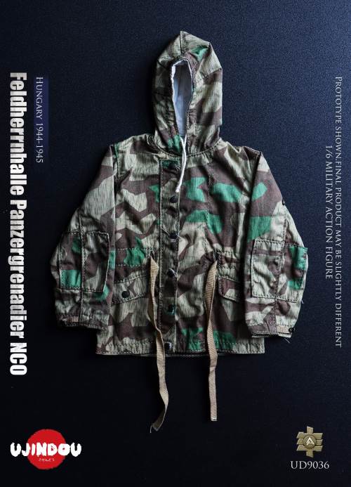 WWII German Commander in Chief Panzergrenadier Sergeant Hungary 1944-1945 1/6