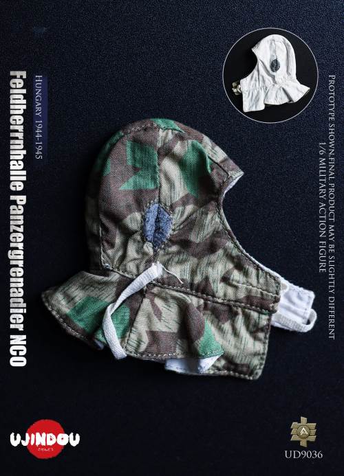 WWII German Commander in Chief Panzergrenadier Sergeant Hungary 1944-1945 1/6