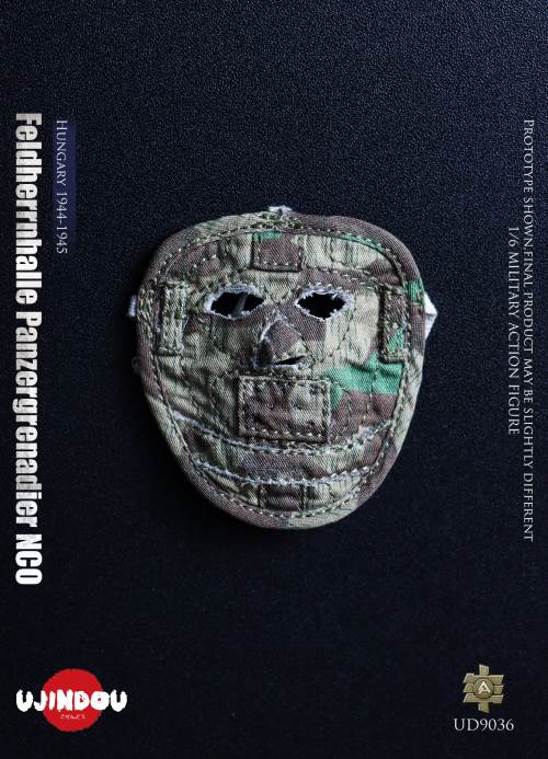 WWII German Commander in Chief Panzergrenadier Sergeant Hungary 1944-1945 1/6