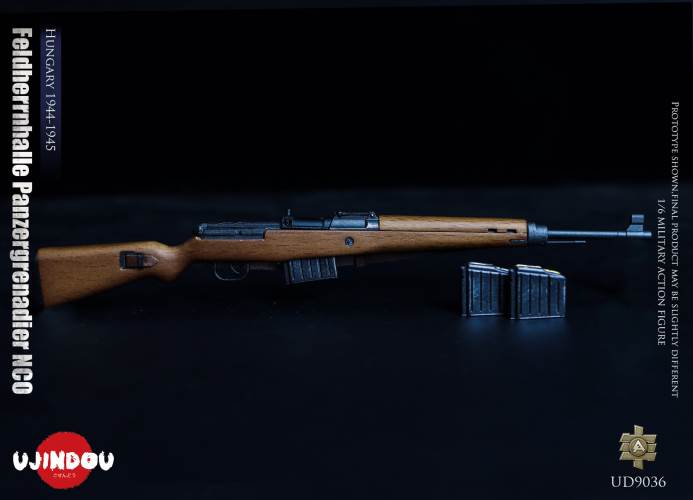 WWII German Commander in Chief Panzergrenadier Sergeant Hungary 1944-1945 1/6