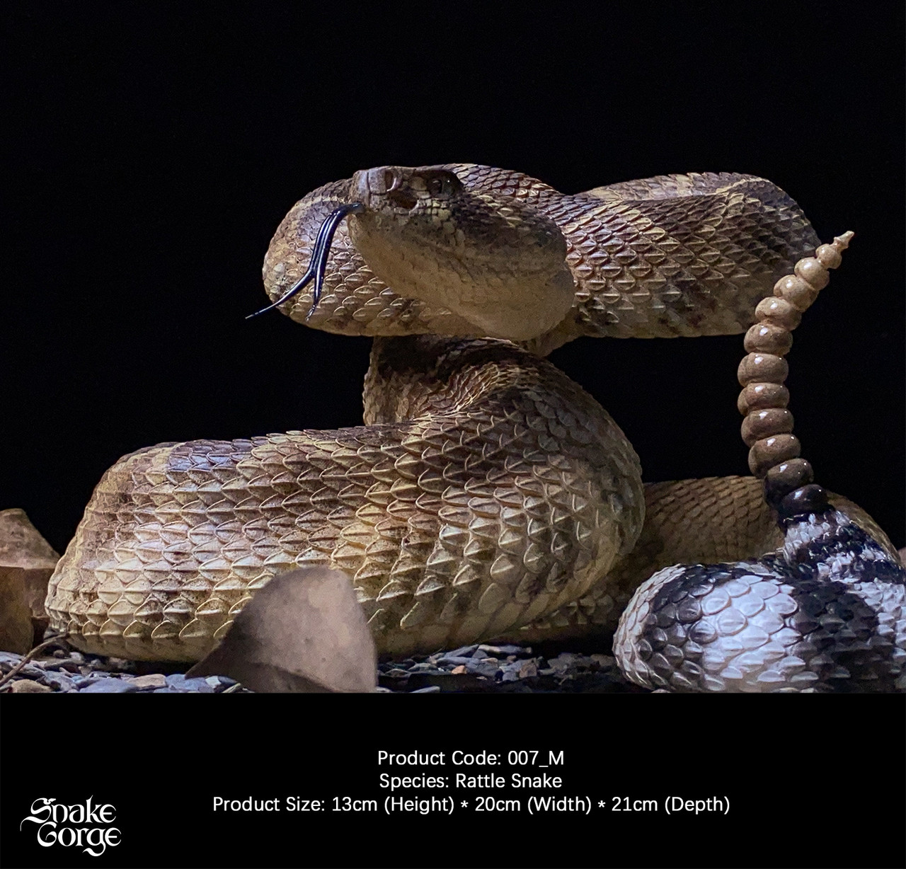 Crotalus atrox
