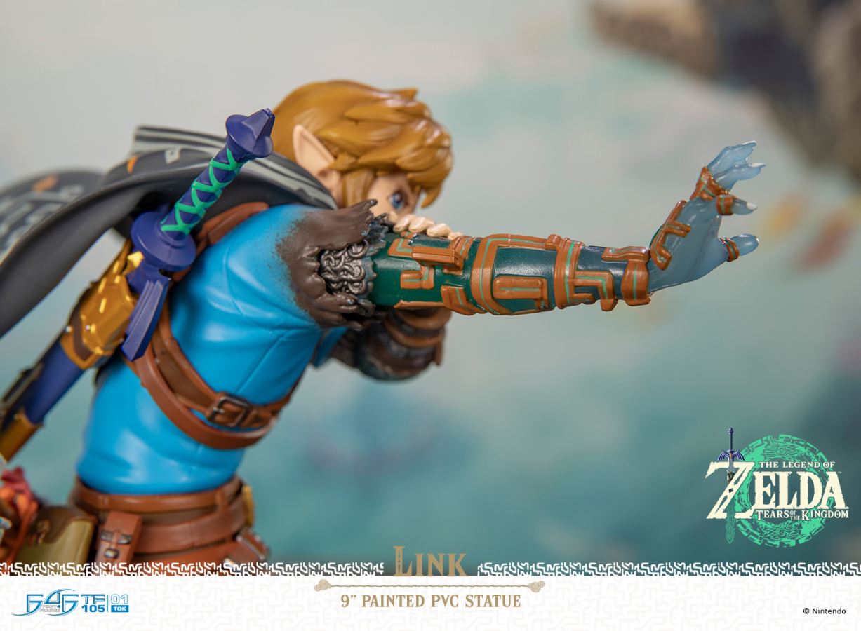 Link - Zelda: Tears of the Kingdom