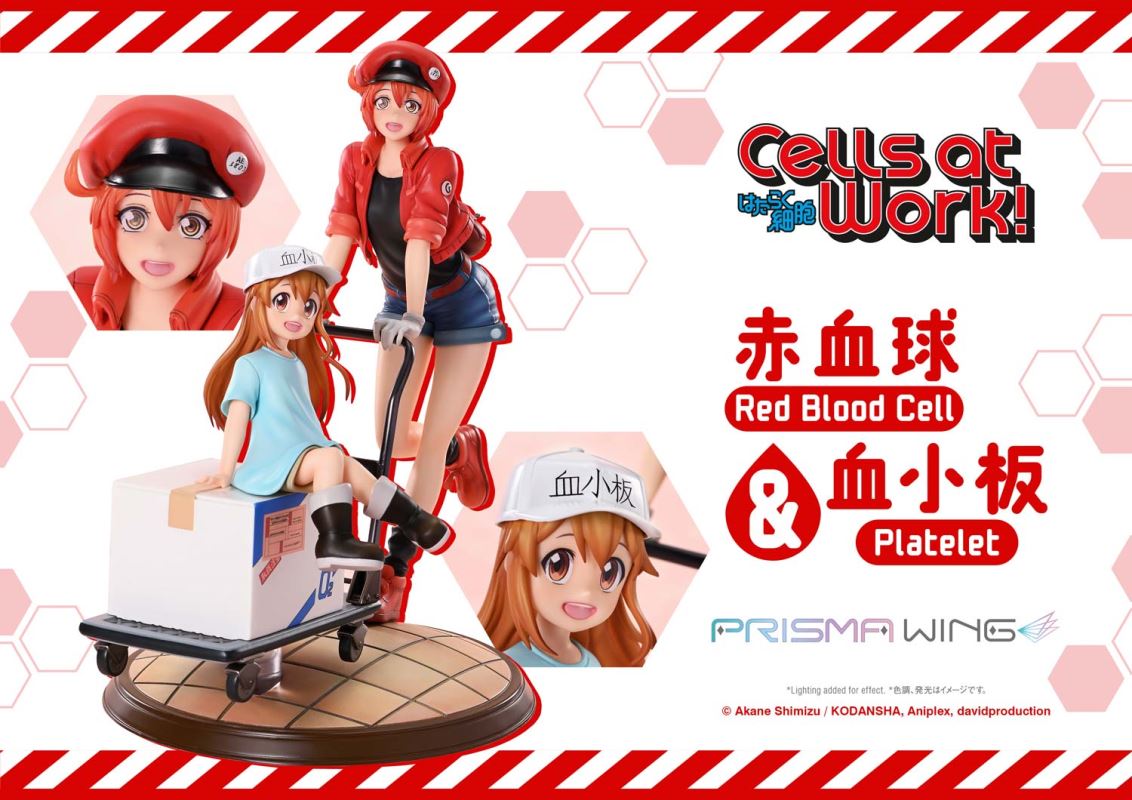 Cells at Work Red Blood Cell & Platelet