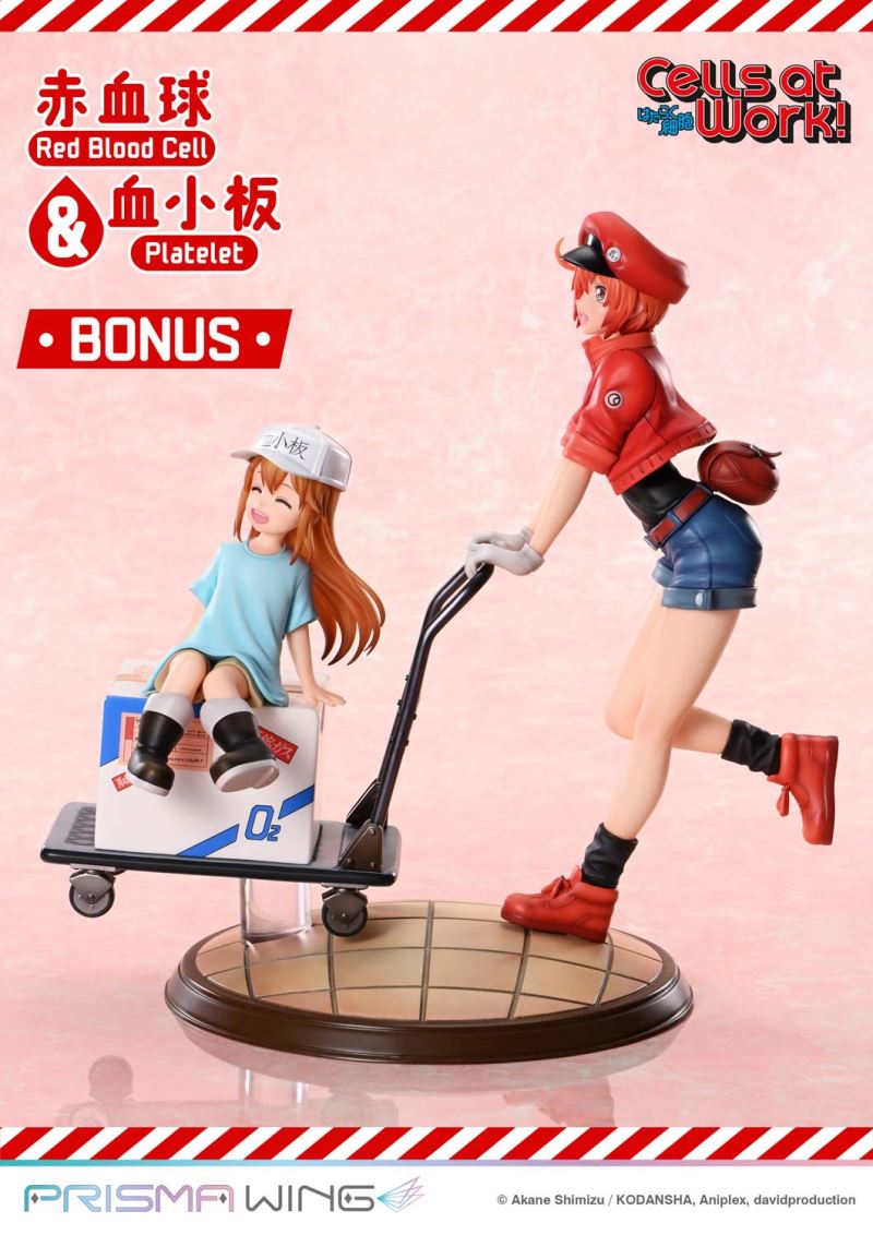 Cells at Work Red Blood Cell & Platelet