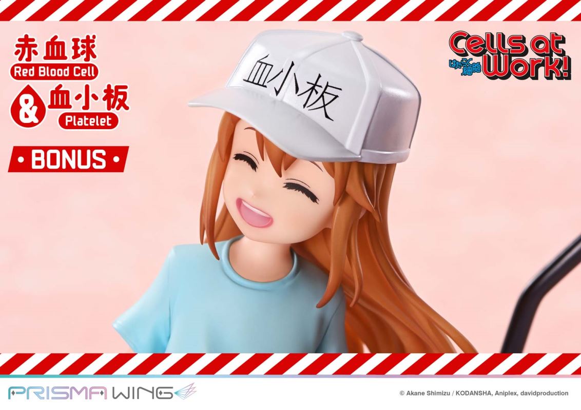 Cells at Work Red Blood Cell & Platelet