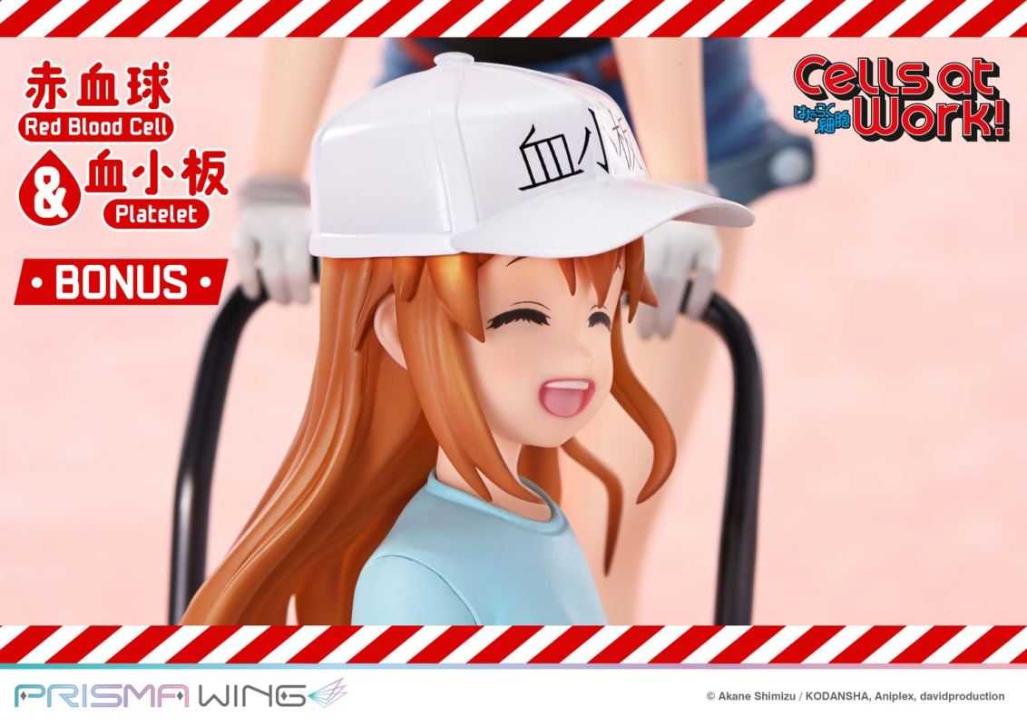 Cells at Work Red Blood Cell & Platelet