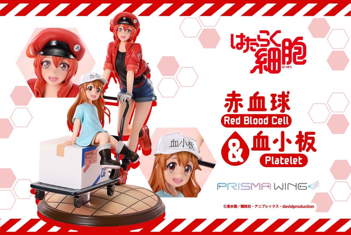Cells at Work Red Blood Cell & Platelet