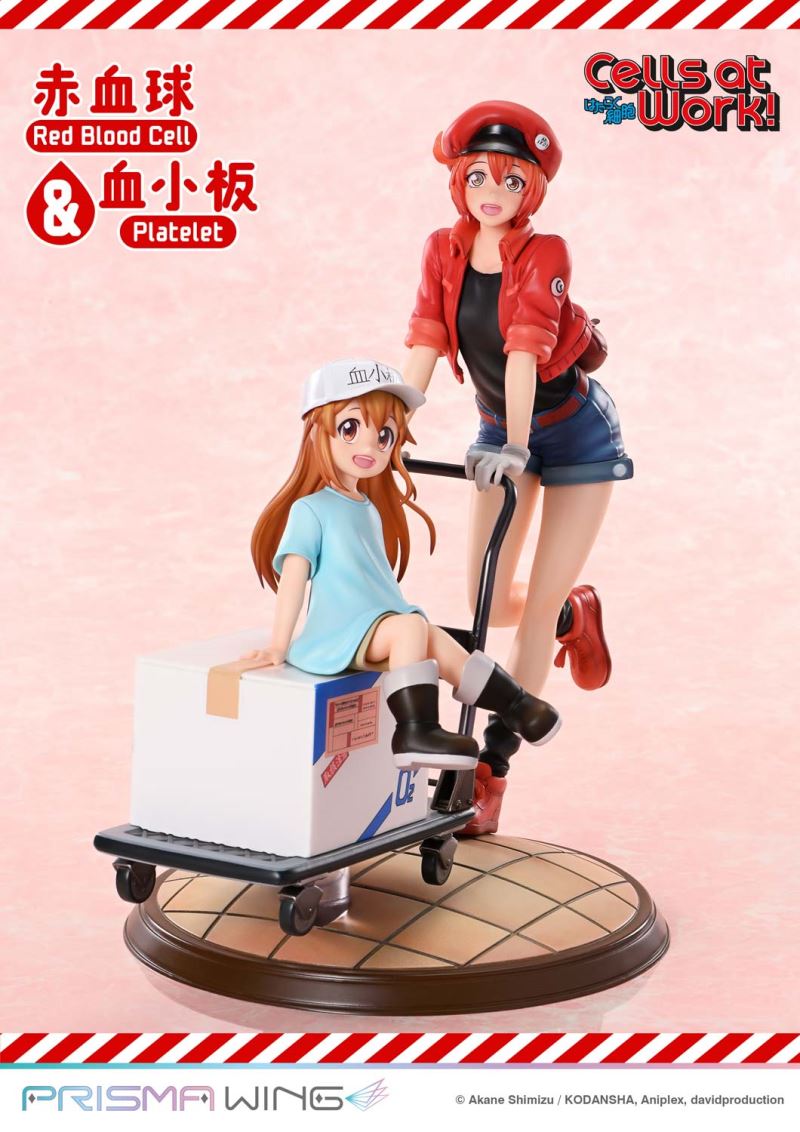 Cells at Work Red Blood Cell & Platelet