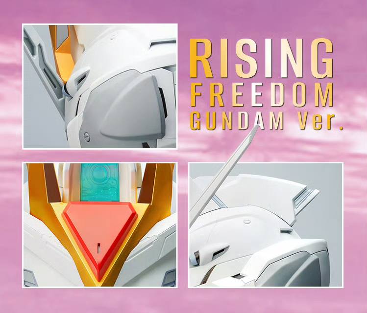 BN HEAD COLLECTION RISING FREEDOM GUNDAM