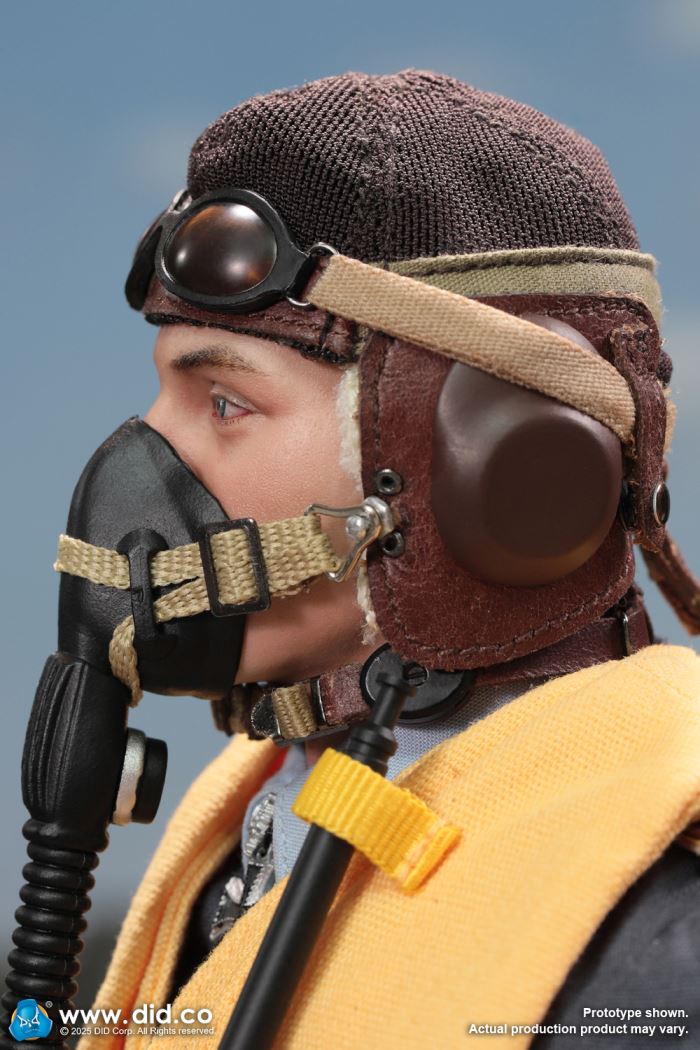 WWII German Ace Pilot Erich Hartmann 1/6