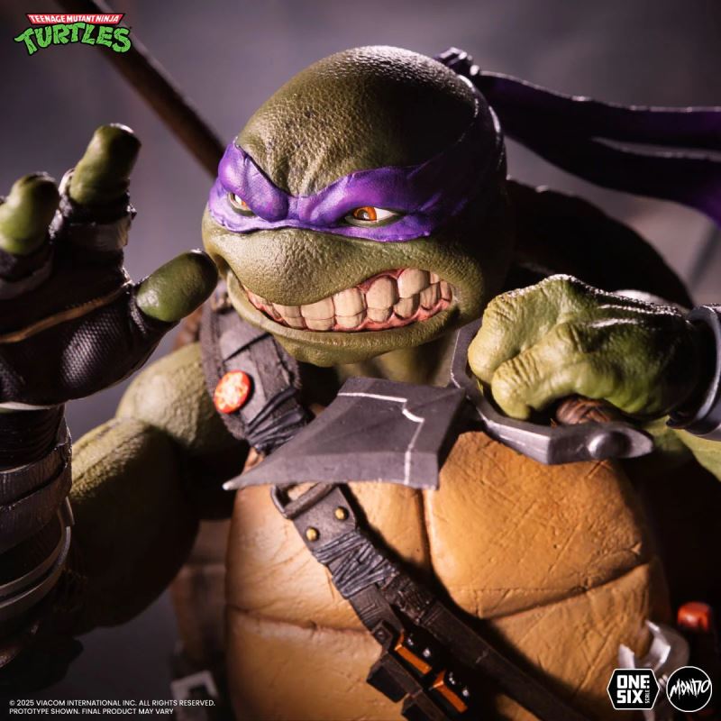 Teenage Mutant Ninja Turtles: Donatello 1/6