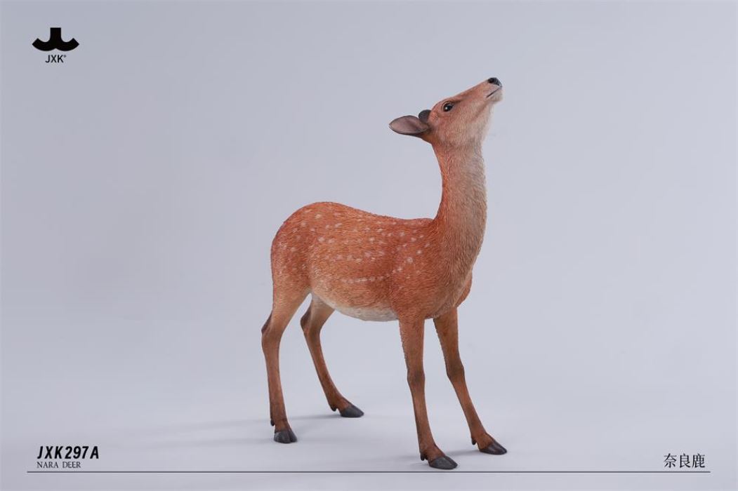 Nara Deer