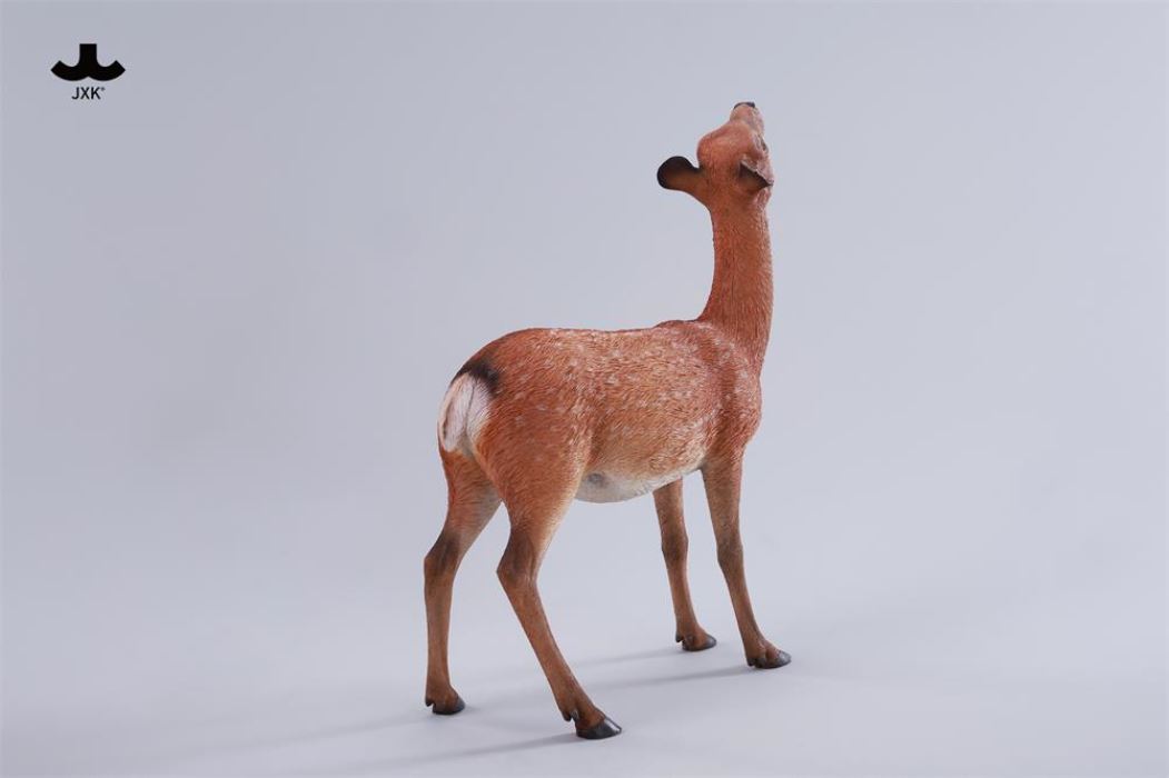 Nara Deer