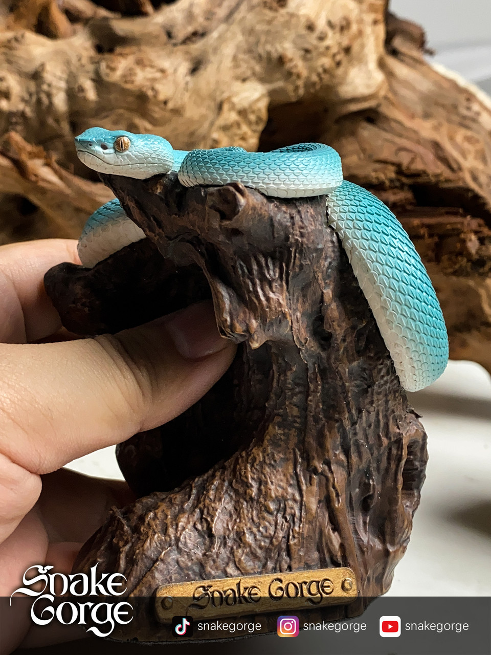 Trimeresurus