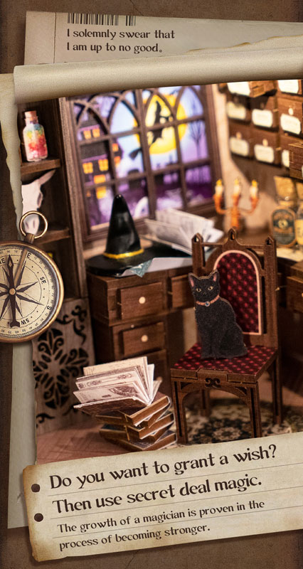 Miniature Doll House Magic Pharmacist Wooden DIY Kit