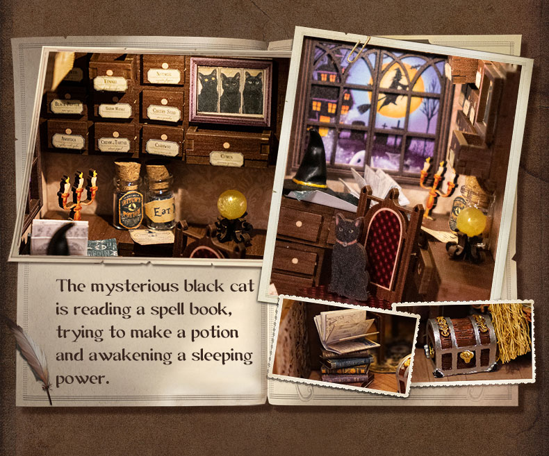 Miniature Doll House Magic Pharmacist Wooden DIY Kit