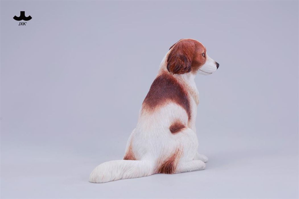 Kooikerhondje