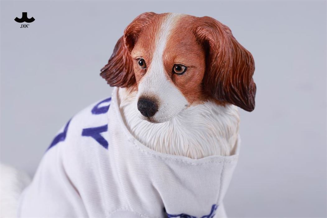 Kooikerhondje