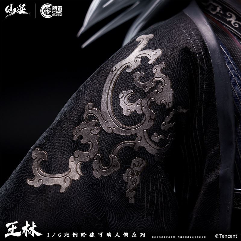 Renegade Immortal Wang Lin 1/6