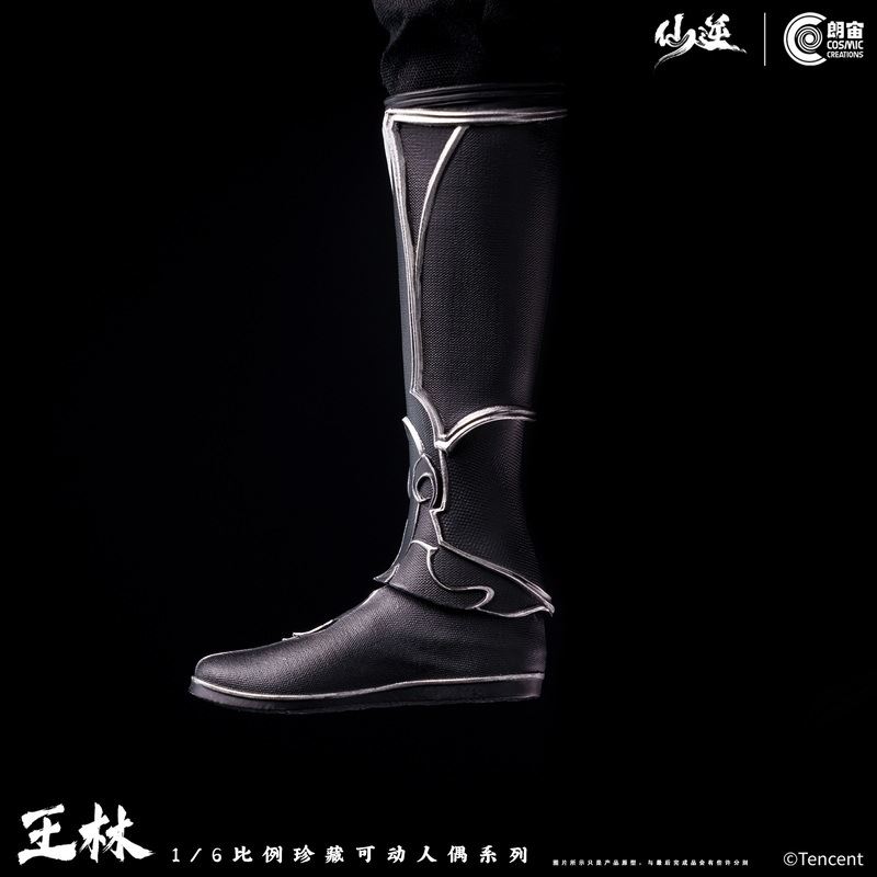 Renegade Immortal Wang Lin 1/6