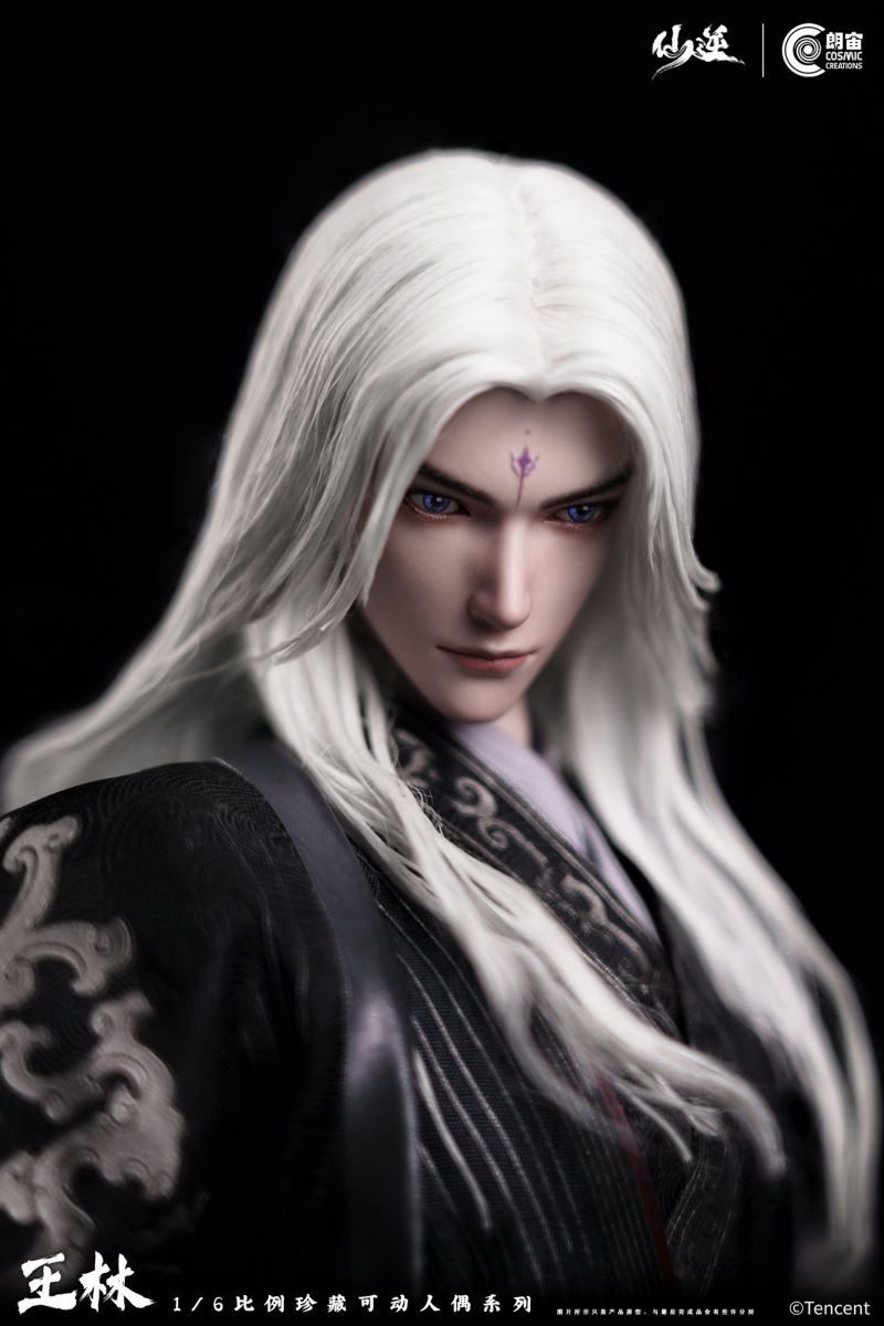 Renegade Immortal Wang Lin 1/6