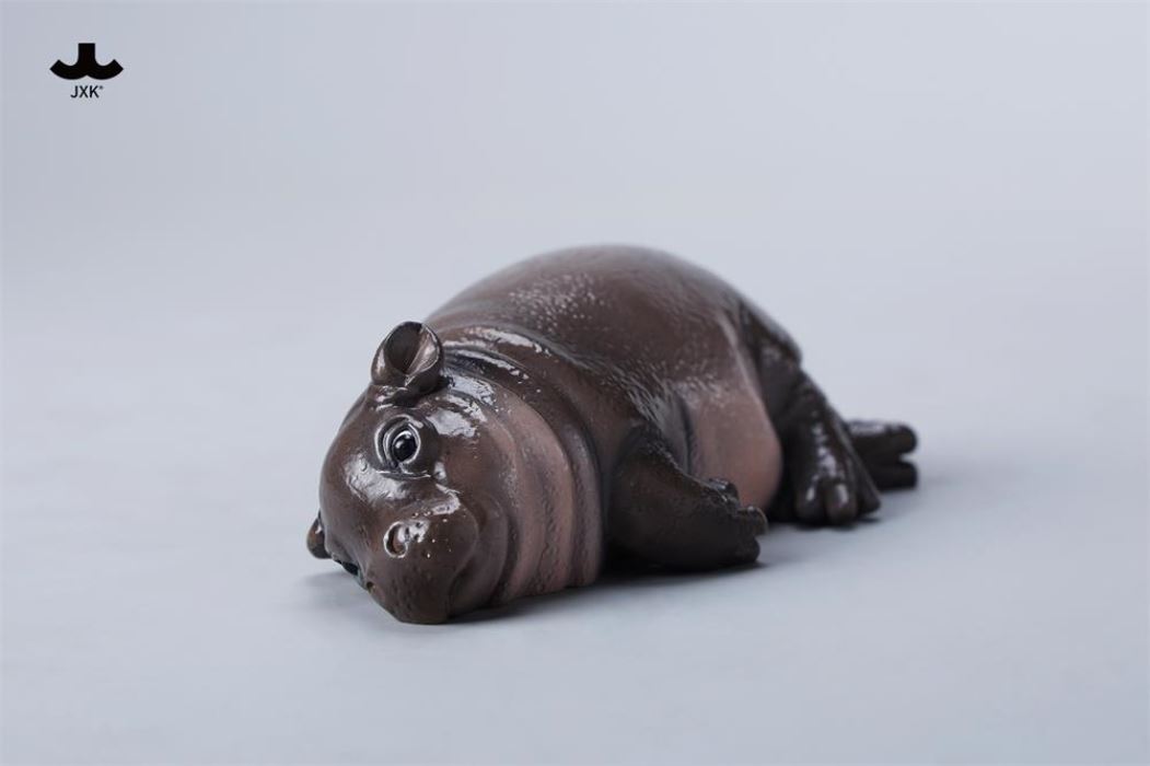 Baby Hippopotamus MooDeng
