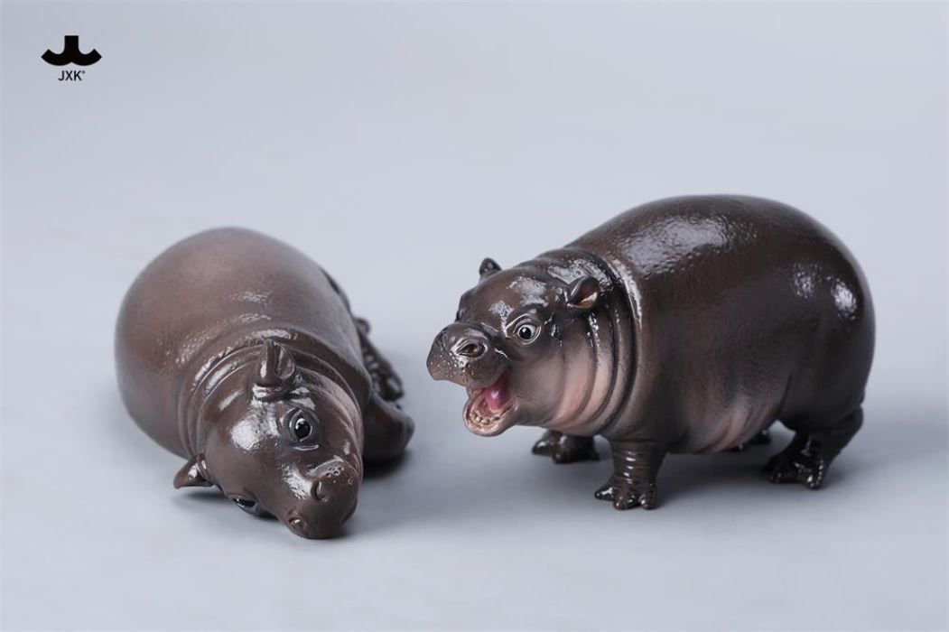 Baby Hippopotamus MooDeng