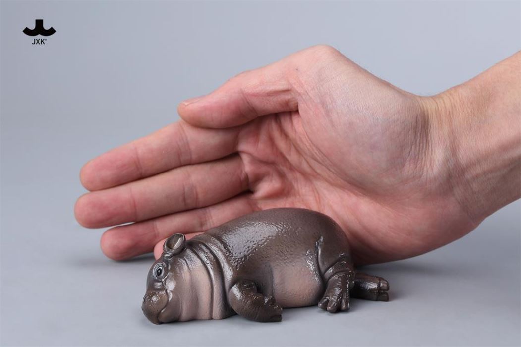 Baby Hippopotamus MooDeng