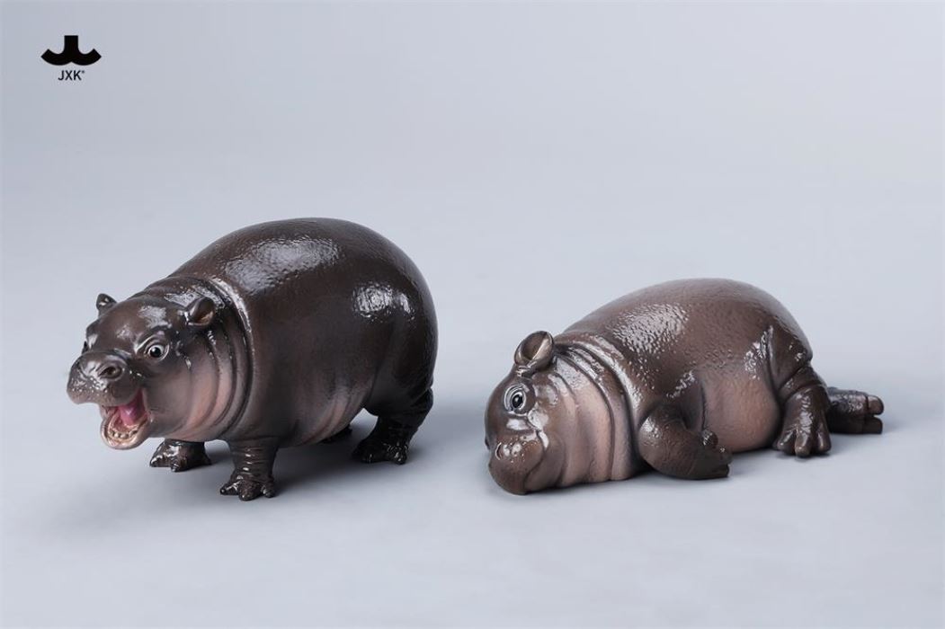 Baby Hippopotamus MooDeng