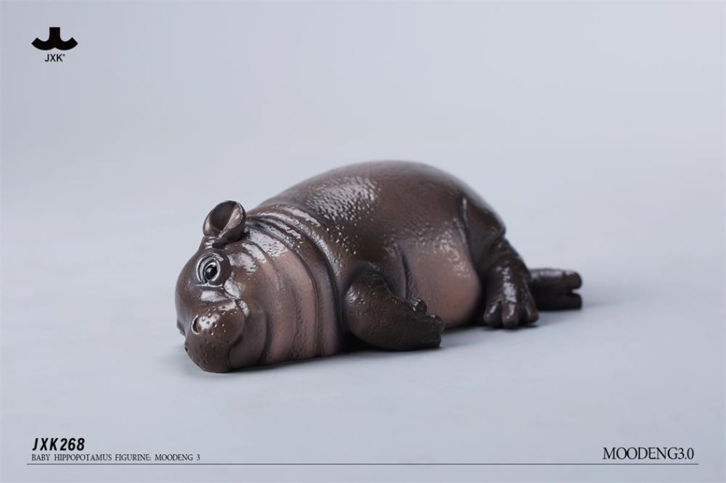 Baby Hippopotamus MooDeng