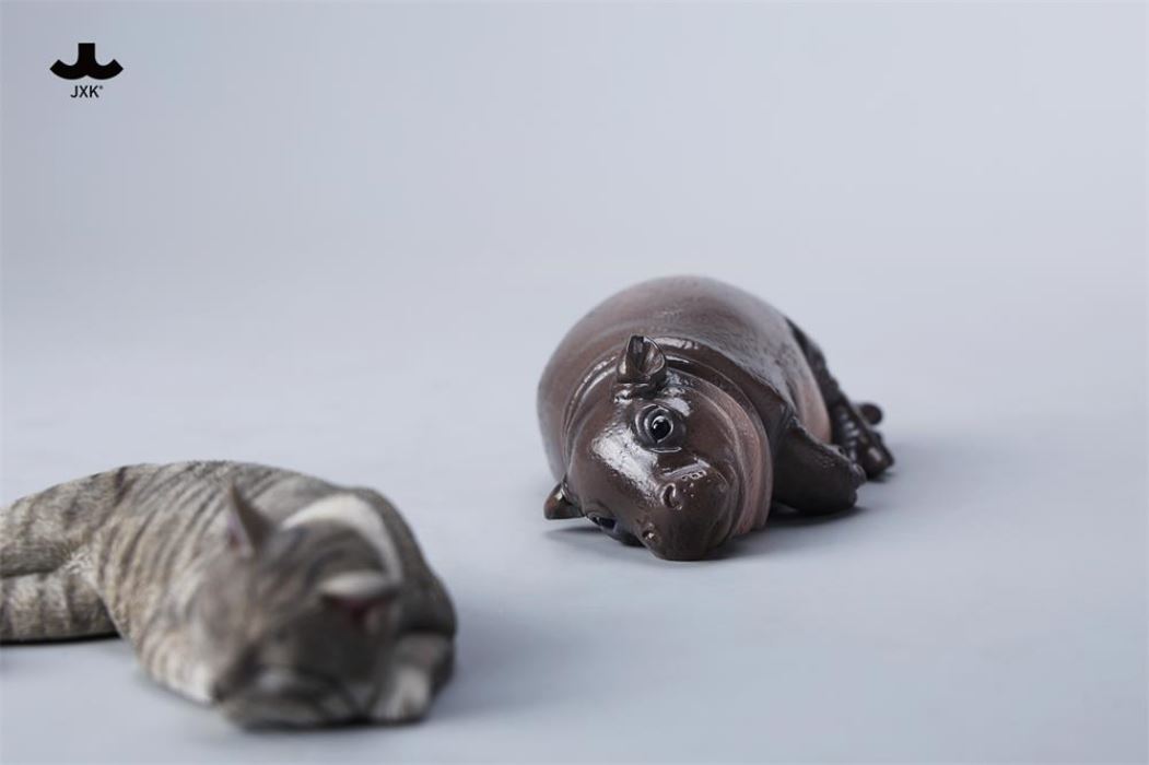 Baby Hippopotamus MooDeng