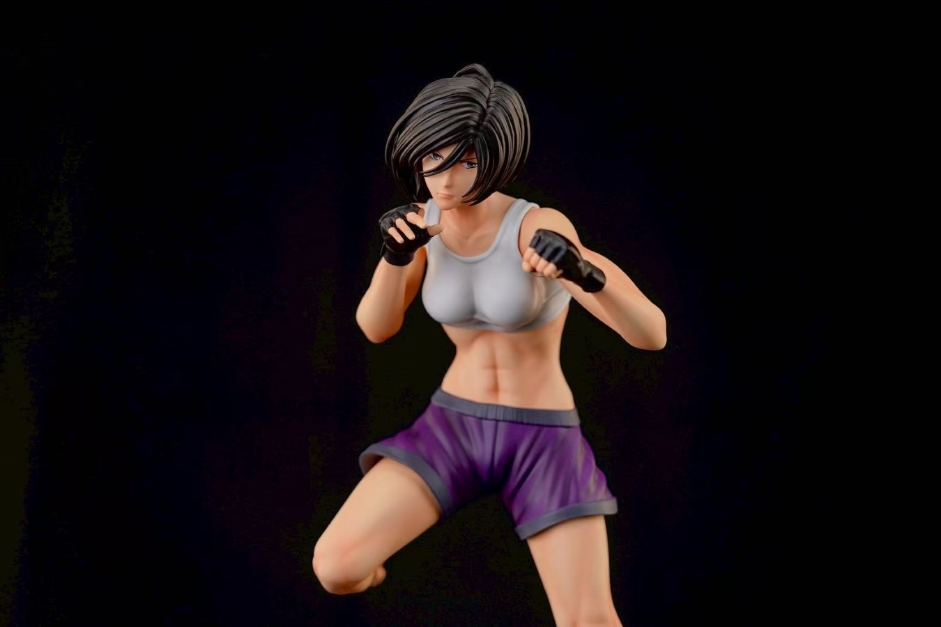 Mikasa the Fist Fighter - Attack on Titan