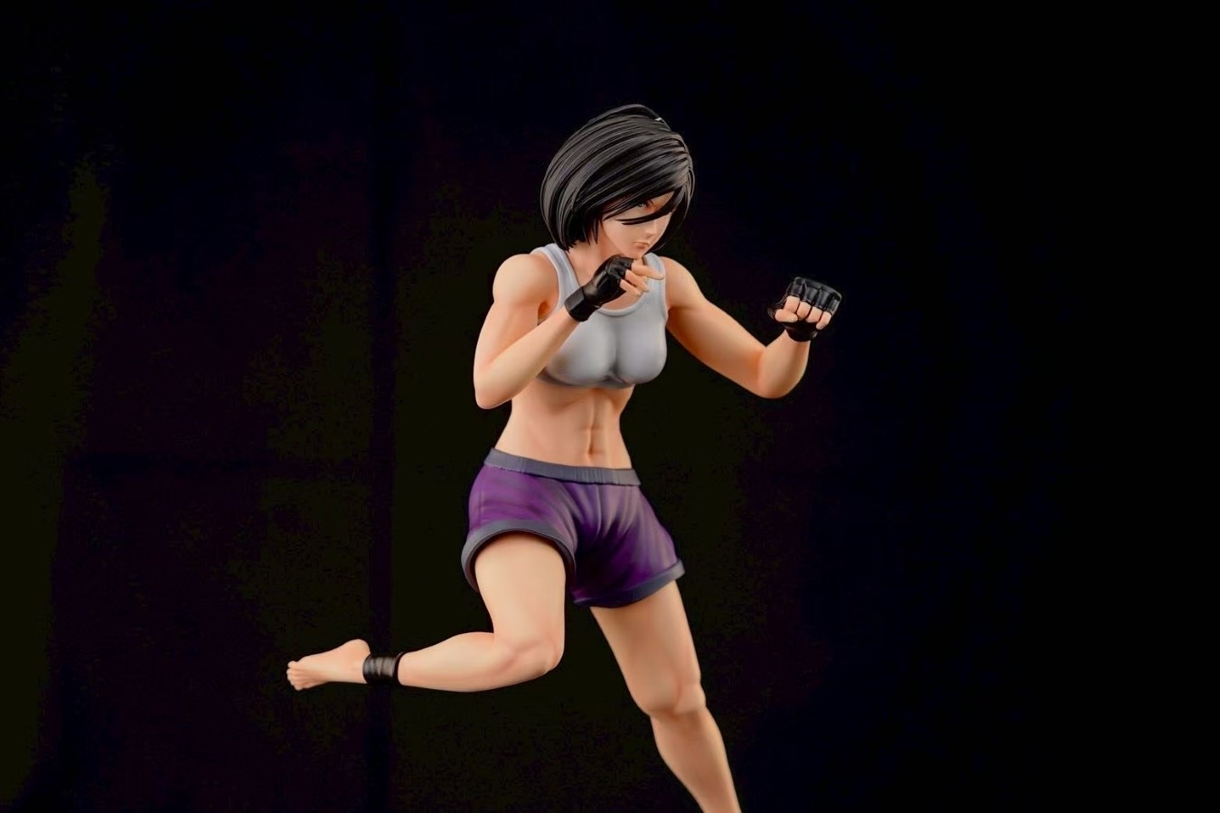 Mikasa the Fist Fighter - Attack on Titan