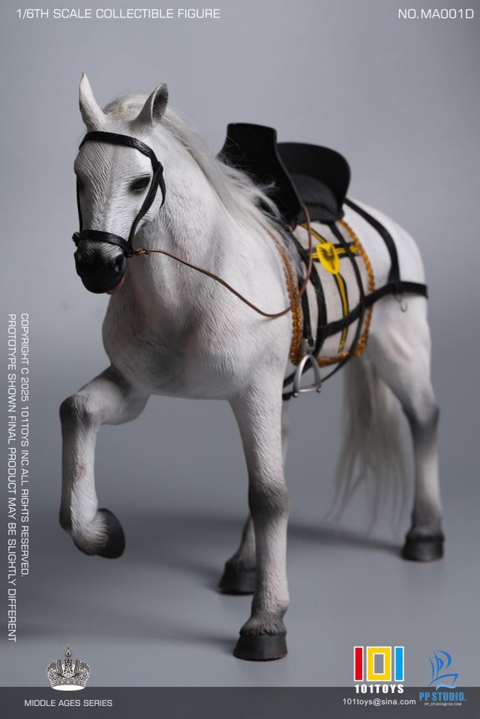 Medieval Teutonic Commander 1/6