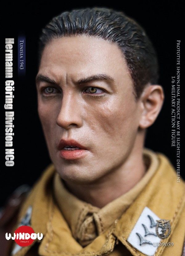 WWII Hermann Goring Division, Tunisia, 1943 1/6