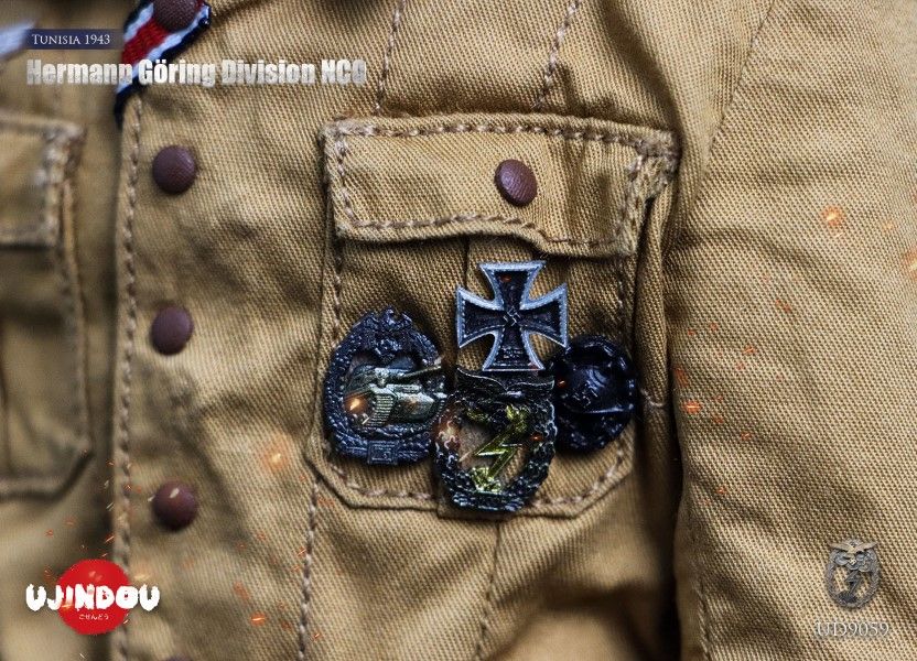 WWII Hermann Goring Division, Tunisia, 1943 1/6