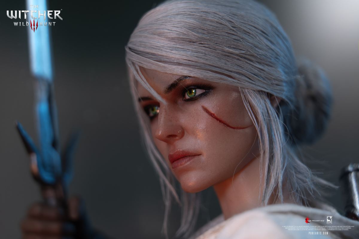 Ciri of the Cintra - The Witcher 3: The Wild Hunt 1 / 6